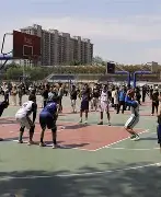 熊猫体育 中国 官方网站-风云突变费城76人转会期止住颓势，德甲版图或变，态度坚定，训练强度明显提升